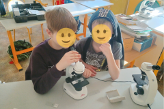 Projekt bez nazwy - 308