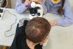 Projekt bez nazwy - 310