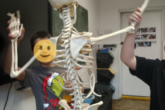 Projekt bez nazwy - 312