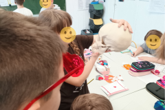Projekt bez nazwy - 324