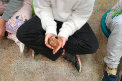 IMG_20240924_083329772