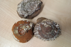 IMG_20240924_141540157