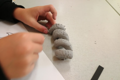 IMG_20240926_121554151-1