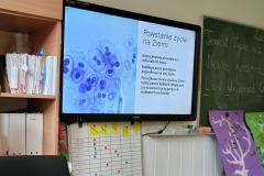 IMG_20240926_083634752_HDR-edytowano