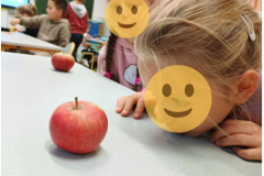 Projekt bez nazwy - 6