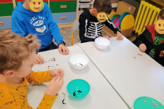 Projekt bez nazwy - 54