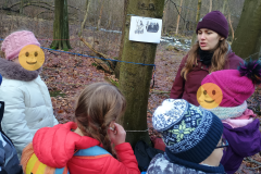 Projekt bez nazwy - 155