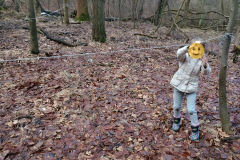 Projekt bez nazwy - 156