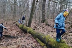 Projekt bez nazwy - 157