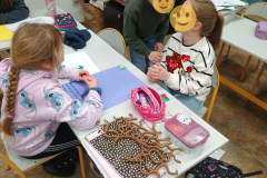 Projekt bez nazwy - 124