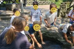 Projekt bez nazwy - 138