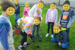 Projekt bez nazwy - 168