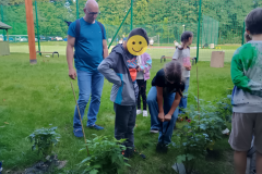 Projekt bez nazwy - 172