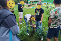 Projekt bez nazwy - 173