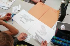 Projekt - dinozaury