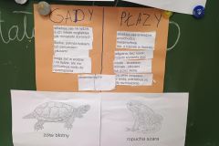 Projekt - dinozaury