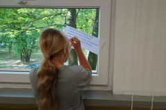 Projekt bez nazwy - 61