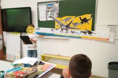 Projekt bez nazwy - 85