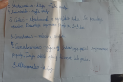 Projekt bez nazwy - 234