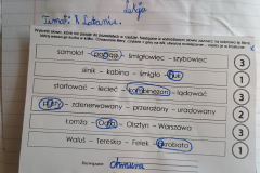 Projekt bez nazwy - 236