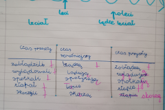 Projekt bez nazwy - 175
