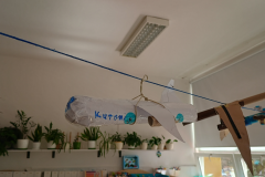 Projekt bez nazwy - 185