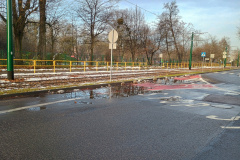 IMG_20241125_085111886_HDR