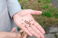 IMG_20250913_102804983