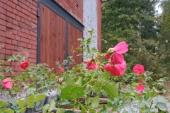 IMG_20250927_094829521_HDR