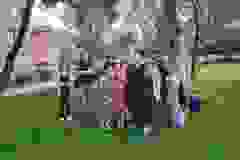 445773024_789946646666722_6493222581062376016_n