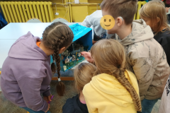 Projekt bez nazwy - 67