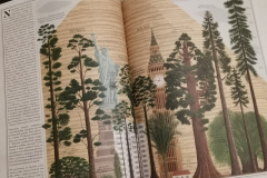 Zielona edukacja - Książki dla dzieci