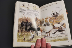 Zielona edukacja - Książki dla dzieci