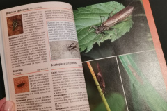 Zielona edukacja - Książki dla dzieci