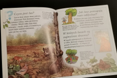 Zielona edukacja - Książki dla dzieci