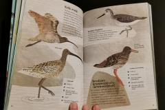 Zielona edukacja - Książki dla dzieci