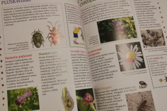 Zielona edukacja - Książki dla dzieci