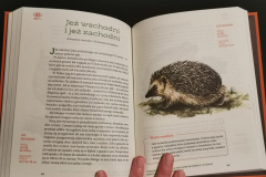 Zielona edukacja - Książki dla dzieci